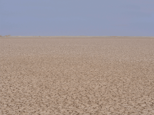 Desert